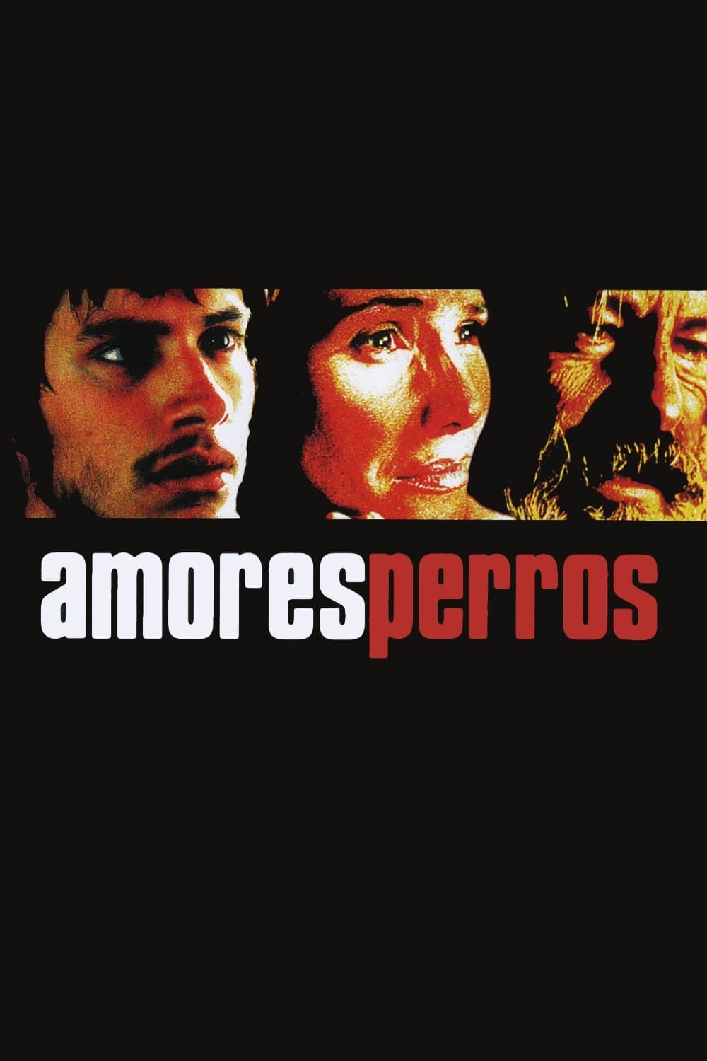 Amores perros Song download 320Kbps